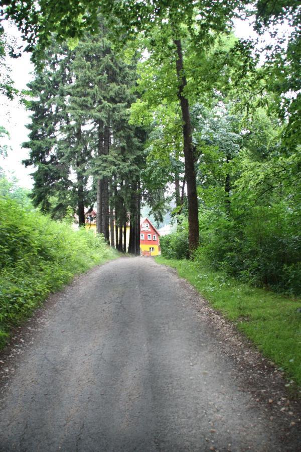 Harmont Montis- Dawna Zajacowka- Idealna Lokalizacja - Lesna Enklawa W Centrum Miasta! Sauna, Masaze, Zabiegi Spa! 2* Schreiberhau